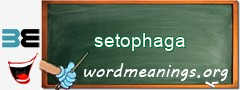 WordMeaning blackboard for setophaga